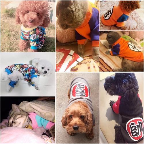 狗狗衣服冬装 泰迪比熊狗衣服小型犬狗衣服 猫咪幼犬春秋宠物衣服