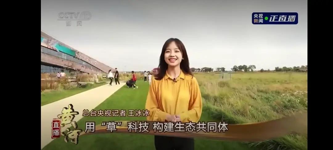央视记者王冰冰笑起来好有亲和力啊