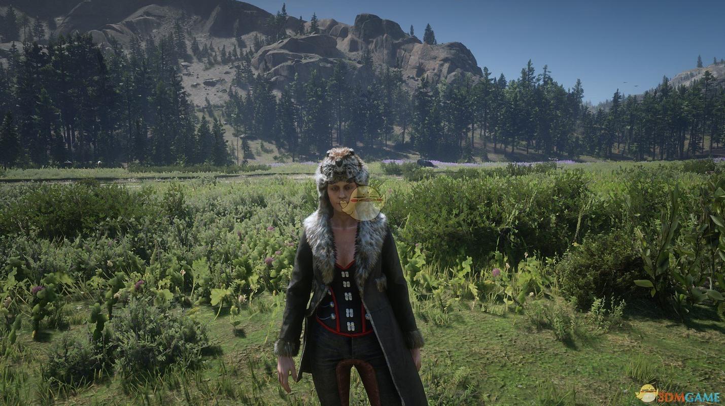 荒野大镖客2传说齐奇河狸及其服装外观一览