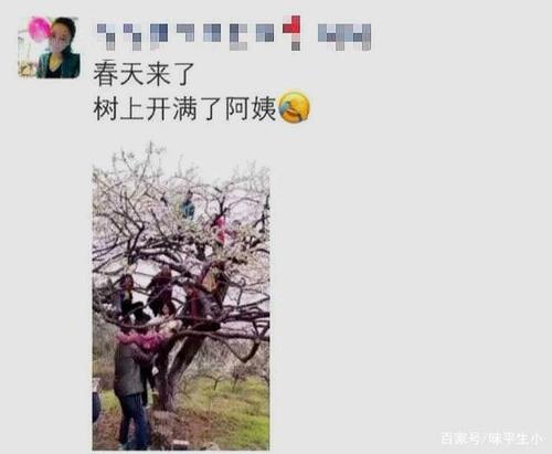 让你笑到抽搐的搞笑图片绝对可以给你解决忧愁使你开心