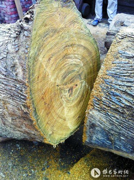 来自金丝楠木的诱惑