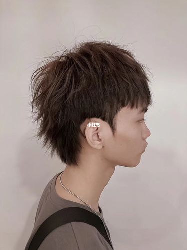 男士大狼尾_男士发型_潮男_时尚_发型