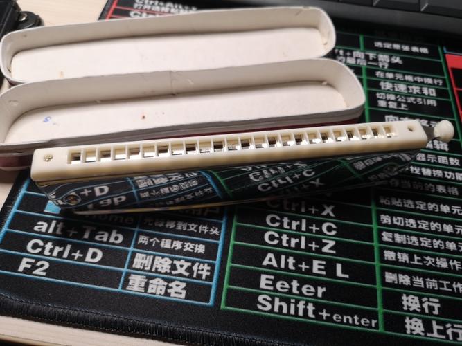 塔牌半音阶口琴开箱