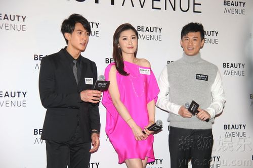 来源:搜狐娱乐 责编:陈天如                 吴尊 周丽淇 林峰