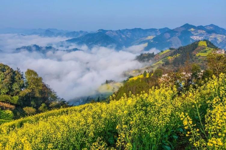 u 推荐|江南的春天,已经把摄影师逼疯了