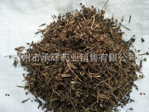 批发冷背中药材 青叶胆 肝炎草 新货无硫 支持药检