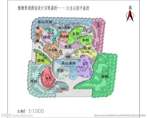 园林植物景观规划分区图片
