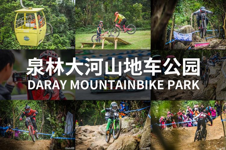 新品_三条压着机市场_常旺自动化