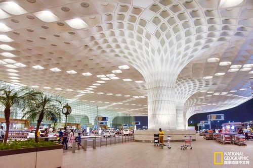 十处你一定会爱上的机场
