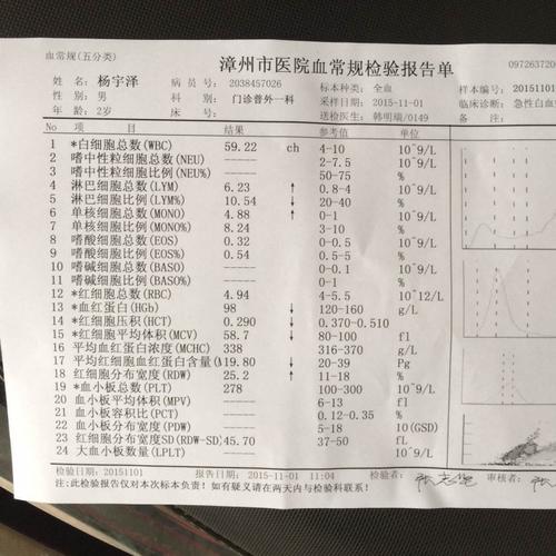 母亲精神分裂症儿子又得白血病