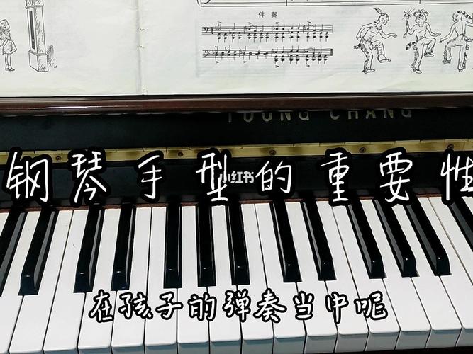 钢琴手型的重要性,希望对大家有帮助7815_钢琴_潍坊攻略_学习