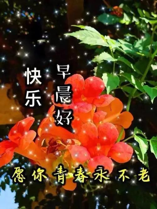 周六微信早安好冬天暖心图片 温馨的清晨好问候心语