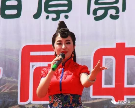 禾麻迪娜