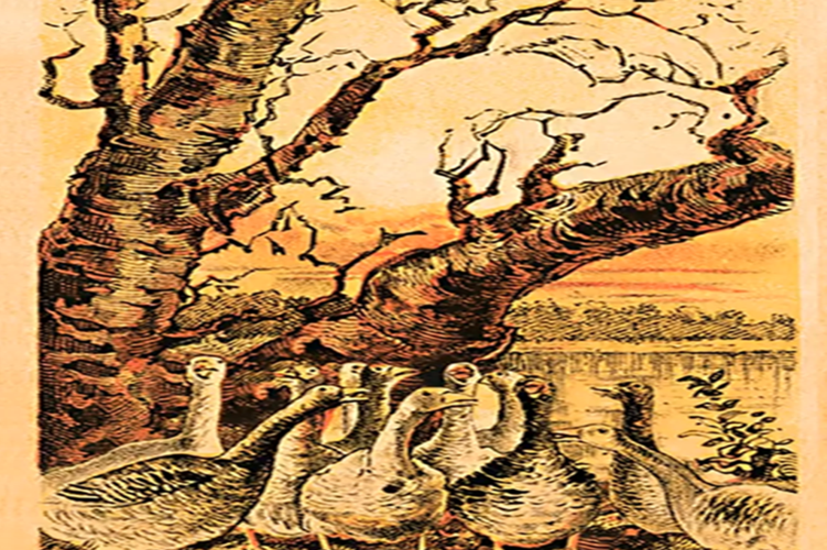 眼力测试:图中除了鹅,还隐藏着一只狐狸,大多数人都