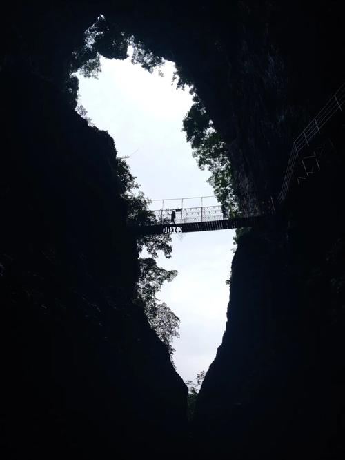 避坑—武陵峡口生态旅游区_手电筒_景点_火车_老年人
