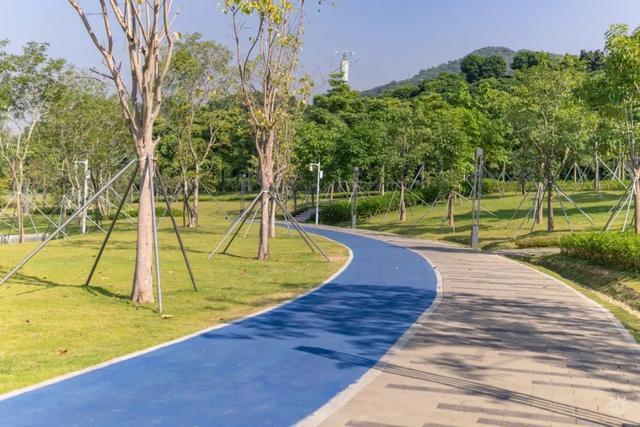 走在全长1公里的环湖绿道上 不仅能感受凤凰山的壮观 还能欣赏湖面