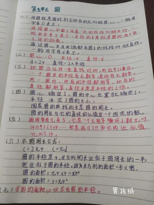 六年级上册第五单元数学笔记_生发_十一去哪玩_植树节