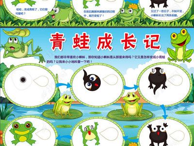 《观察青蛙》手抄报小蝌蚪变青蛙的简笔画-图片欣赏中心蝌蚪变青蛙的