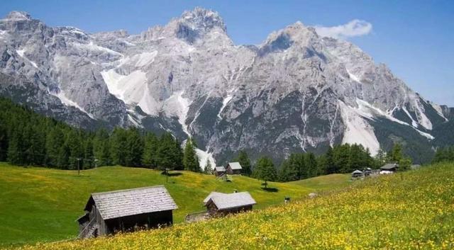 《海蒂和爷爷》每一个灵魂,都渴望自由