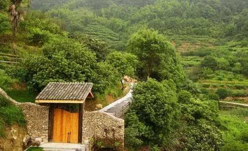 独岛别墅,山里民宿,星空帐篷……谁说千岛湖只有大鱼头