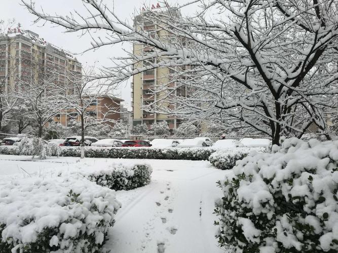春雪…小区的雪景