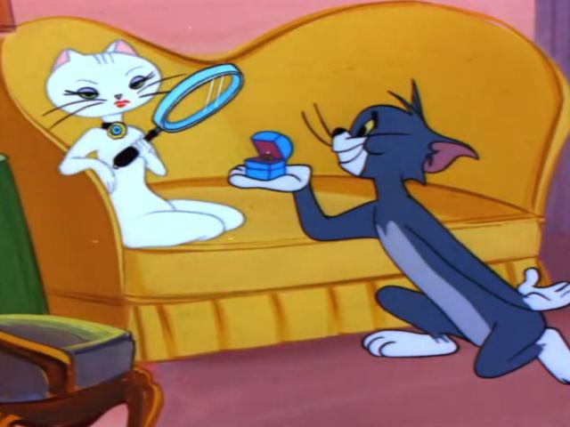 男人都是tom猫