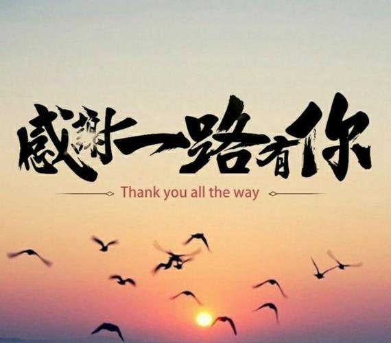 感谢一路有你的陪伴