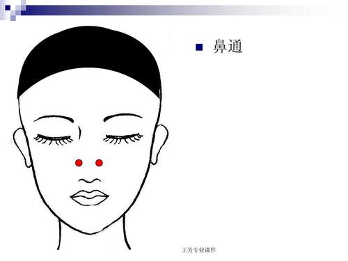头面部穴位ppt