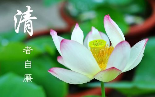 敢于担当,有所作为的业务能力;恪尽职守,勤勉敬业的工作态度;廉洁自