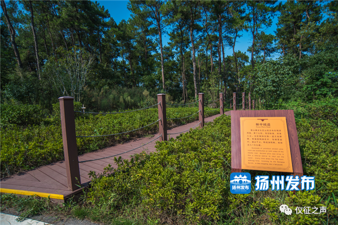 据介绍,扬州玥珑湖择址白羊山森林公园,总占地约10000亩,独拥约1500