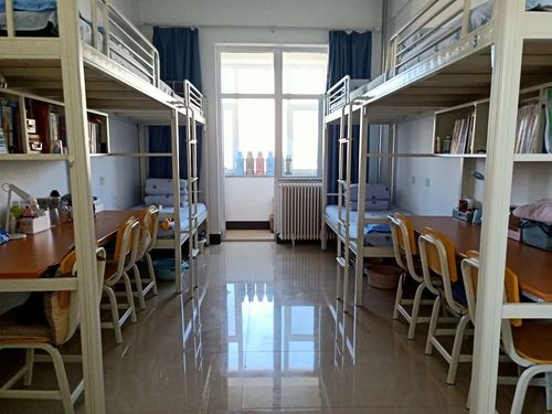 长春工业大学_零二七艺考