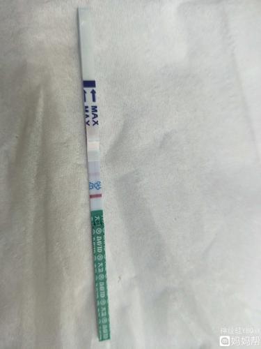 月经推迟第二天早早孕试纸测出两条杠,月经