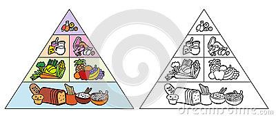 食物金字塔的简笔画
