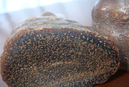 犀角化毒丸的功能与主治