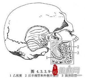 33.经岩骨-小脑幕上下联合入路