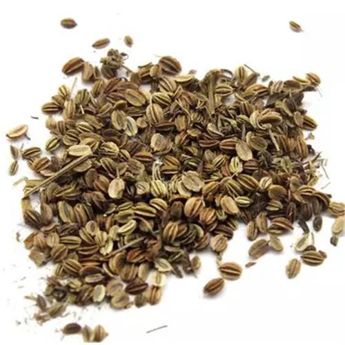 批发供应 优质 中药材 蛇床子 货干无杂 蛇床子细粉