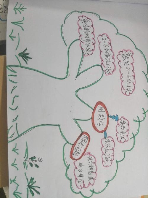 精美漂亮的思维导图,踏实的简笔画基本功,超强的概括能力,老师们敬业