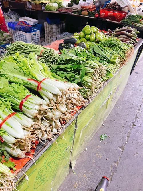一个宝藏菜摊儿_种菜_蔬菜_冬天去哪玩_菜市场_美食_美食展示_食材