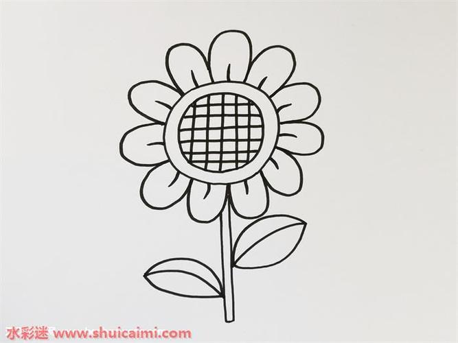 向日葵彩色怎么画简笔画向日葵上色画法步骤