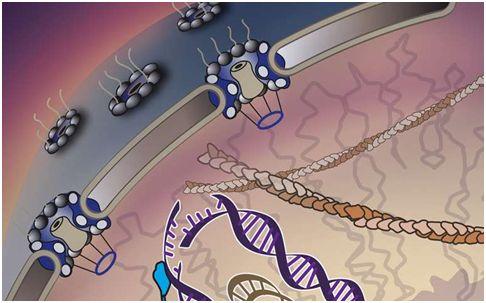 标签:"{将受}" - 生物谷