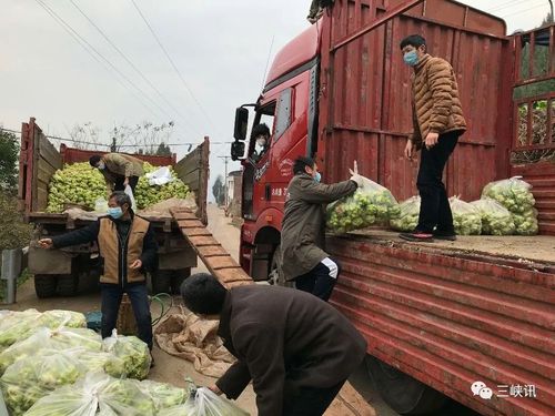 抗疫一线最美万州人万州一农民夫妇向湖北捐11吨蔬菜