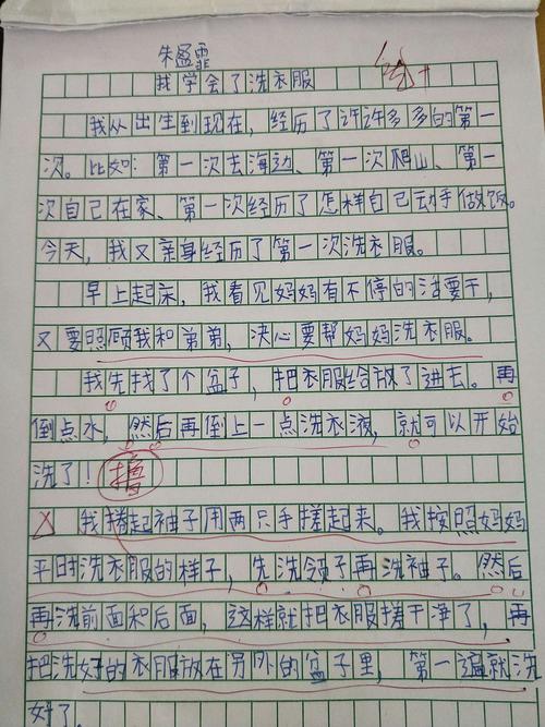 《我会洗衣服了》优秀作文展