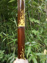 【湘妃竹斑竹】湘妃竹斑竹价格/图片_湘妃竹斑竹批发/采购_湘妃竹斑竹