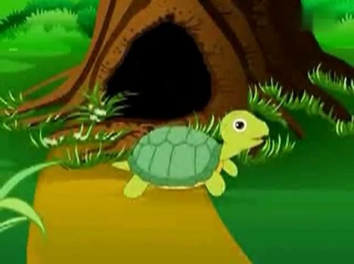 王筱涵家庭《犟龟》观后感