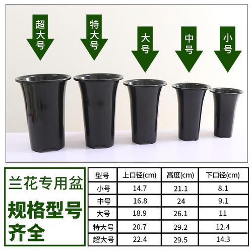 兰花盆兰花盒简易育苗盆高塑料花盆