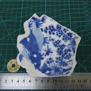 康熙青花瓷片标本