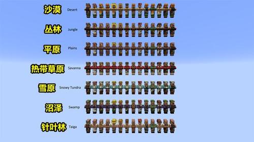 我的世界:mc只有五个群系有村庄,村民却有七种,这也太