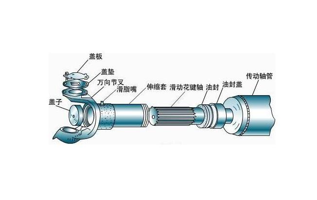 传动轴的结构组成示意图