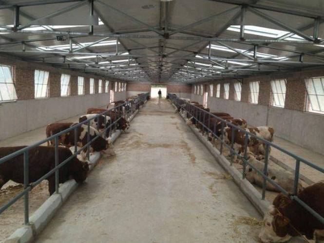 10头牛养牛场牛棚建设规划方案图一