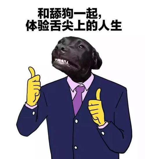 爆红网络的流行语"舔狗",究竟反映怎样的恋爱价值观?